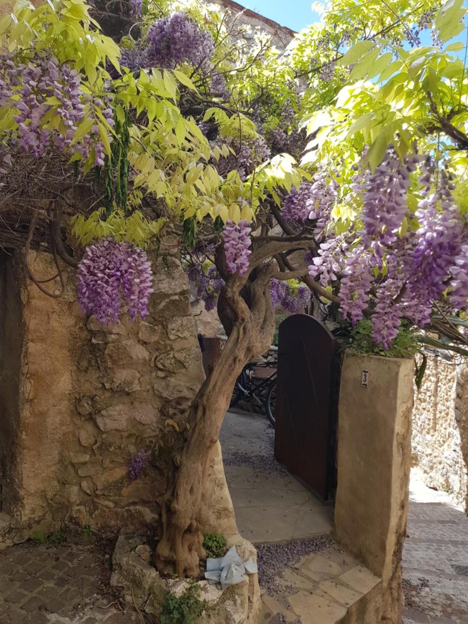 Maison Provencale